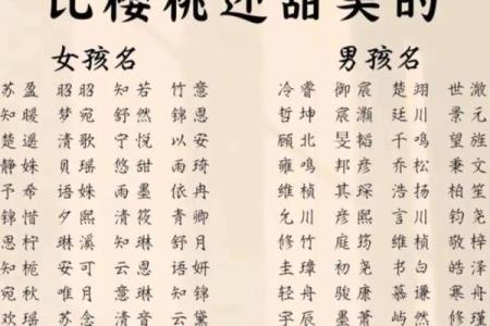 小孩起名生辰八字取名