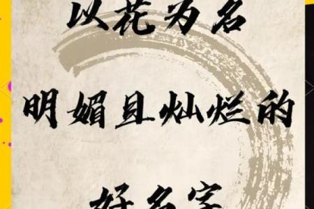 花姓男孩名字大全-花姓男孩起名字大全-花姓名字大全姓名
