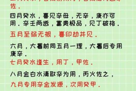 癸水日元八字最贵格局