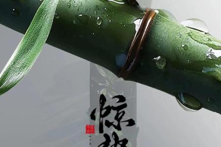惊蛰出生的人是什么星座 惊蛰节气出生好不好