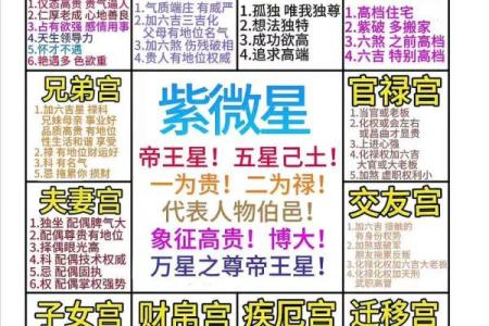 紫薇斗数几种格局