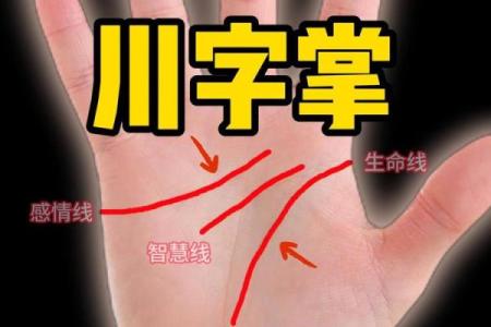 川字纹手相算命图解