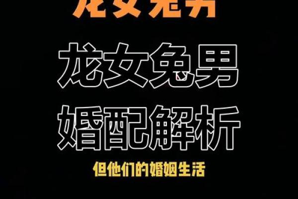 属兔的婚姻配对最佳