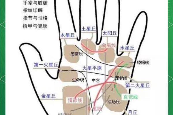详细分析：手掌中的指纹预测算命，快来算算你的运势如何！