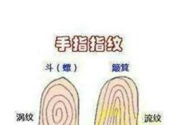 详细分析：手掌中的指纹预测算命，快来算算你的运势如何！