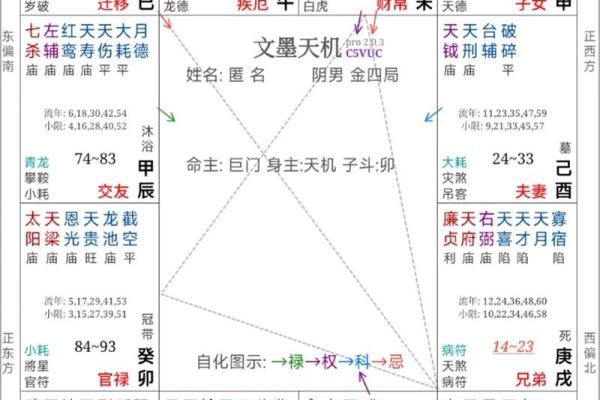 我是紫薇斗数