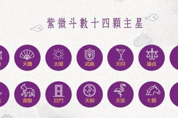 皇家紫薇斗数是什么 皇家紫薇斗数是什么