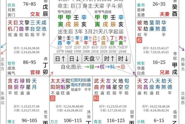 灵动紫薇斗数算命