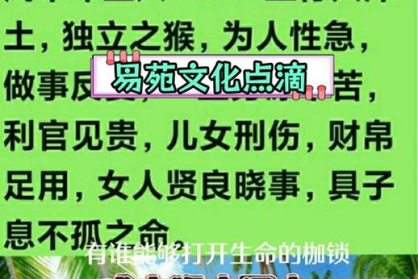 算命说的儿女刑伤说的什么意思呀图片