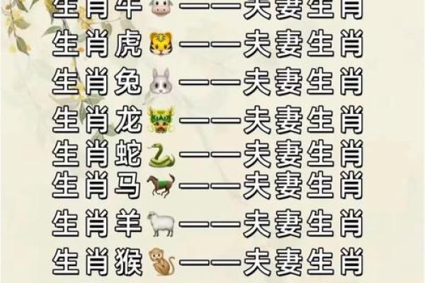 19岁属什么生肖配对 属蛇配对