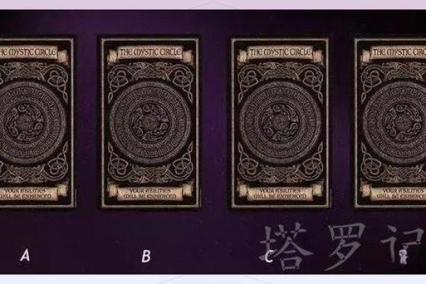 塔罗测试未来另一半的长相