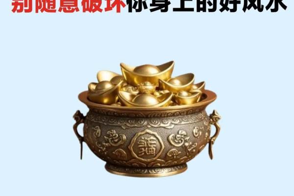 什么风水_风水绝佳什么意思