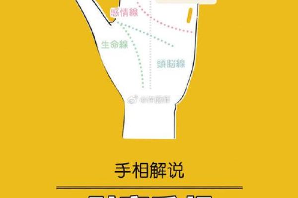 看手相算命图解：指纹