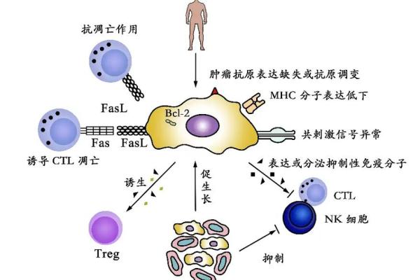 血型决定寿命长短？美国60万人研究发现：A型血60岁前或更易中风