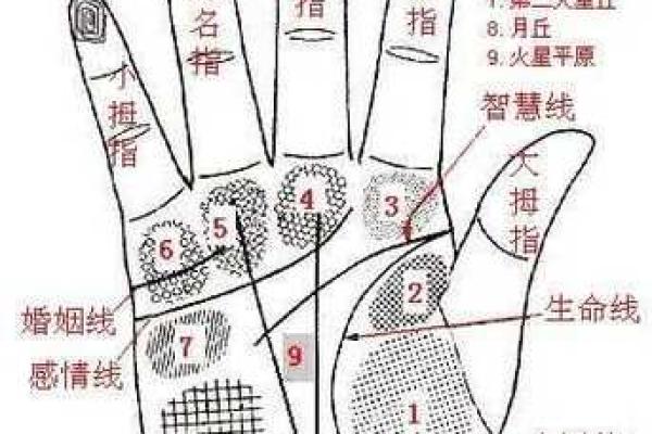 看手相算命图解：手相看婚姻