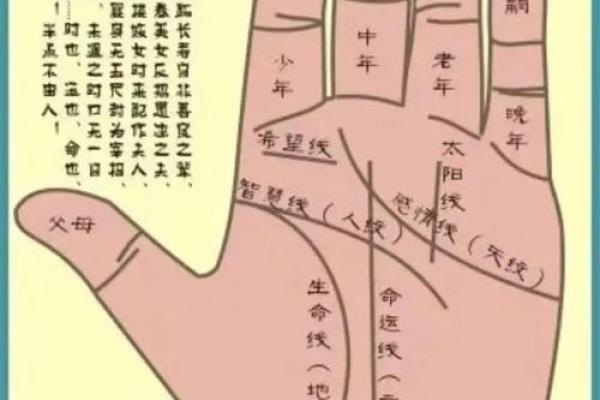 看手相算命图解：手相看婚姻