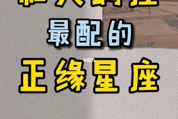 天蝎最适合跟哪几个星座谈恋爱男