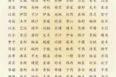 2019年4月17号卯时出生的男孩要怎么起名字姓名
