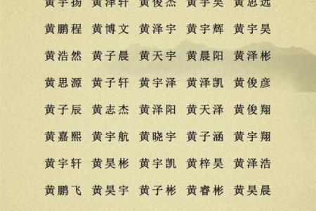 2019年3月21号寅时出生的男孩要怎么起名字姓名
