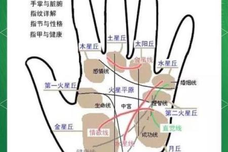 详细分析：手掌中的指纹预测算命，快来算算你的运势如何！