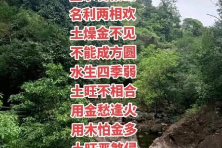 王子八字