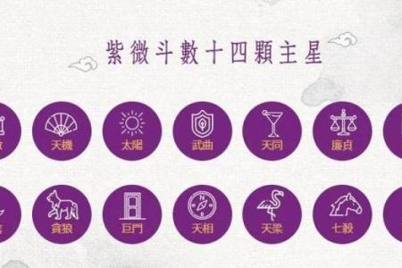 皇家紫薇斗数是什么