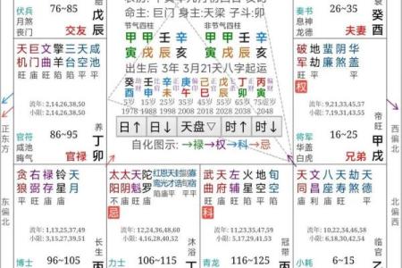 灵动紫薇斗数算命