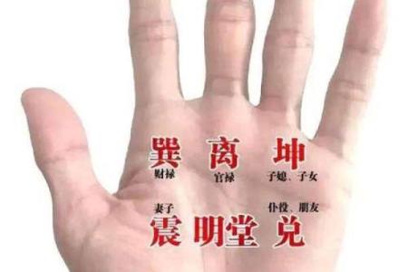 《手相学习百科》：手相健康记号