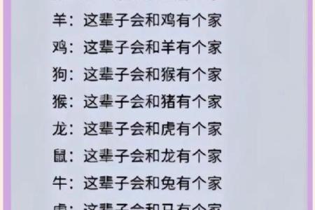 夫妻最好的属相配对