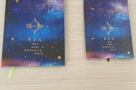 十二星座最适合用什么笔记本