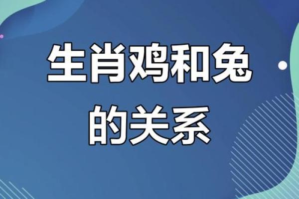 生肖属兔合婚须知，属兔配对需要注意的问题！