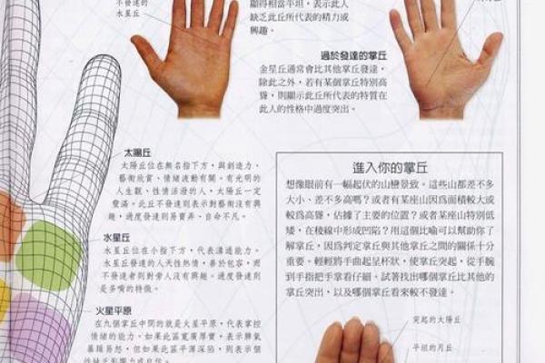 《手相学习百科》：手的轮廓特征