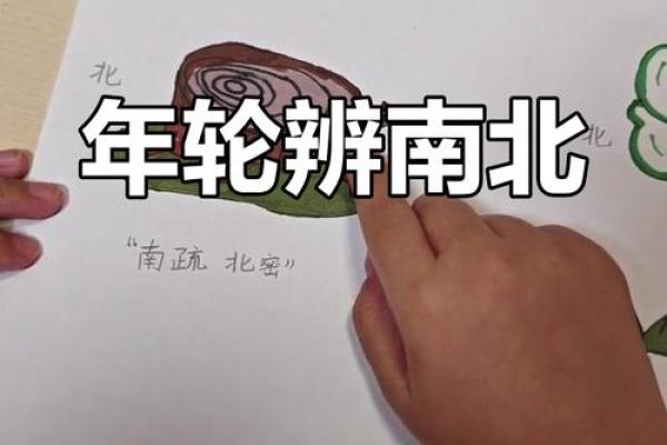 怎样判断方位  判定方位的六种方法
