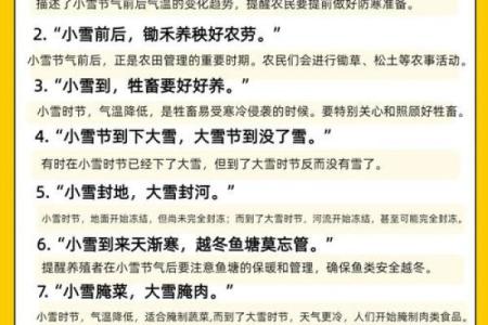 小雪节日 小雪节日吃什么