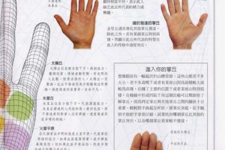 《手相学习百科》：手的轮廓特征