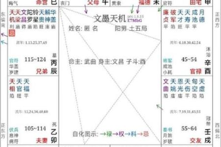 紫薇斗数中忌庙是什么意思