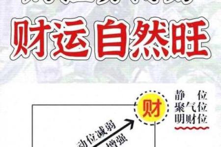 家居的风水，有什么影响事业运