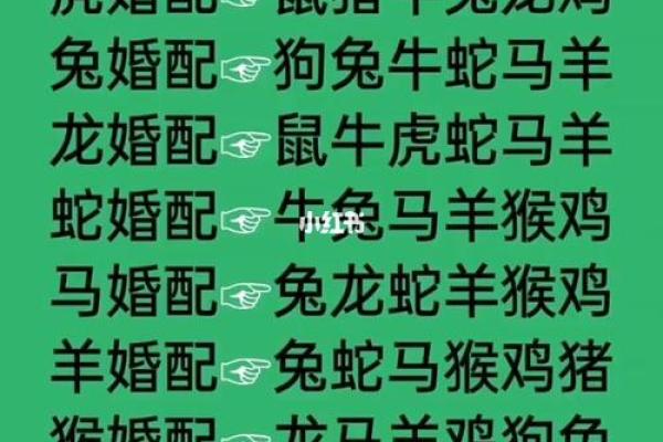 属相配对指数
