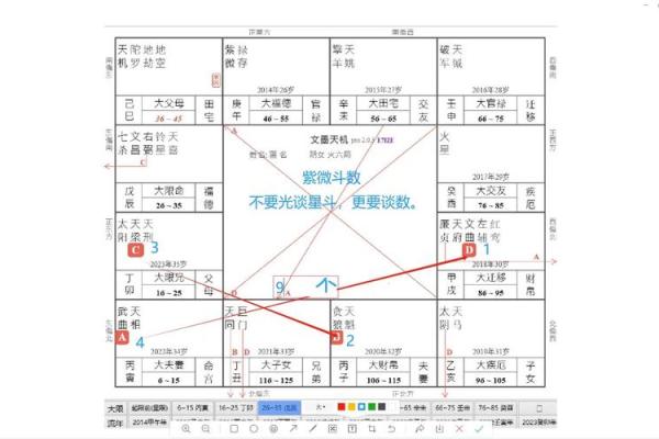 紫薇斗数各个派别