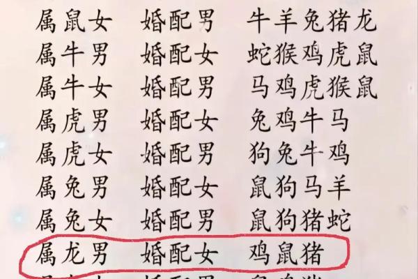 属鼠和属兔的八字合不合得来,属兔的跟属鼠的合财吗