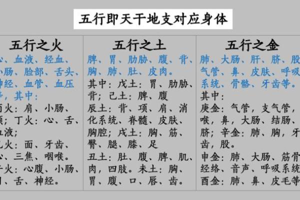 八字看身体