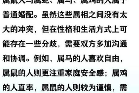 生肖配对：属鼠的和什么属相最配