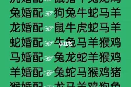 属相配对指数