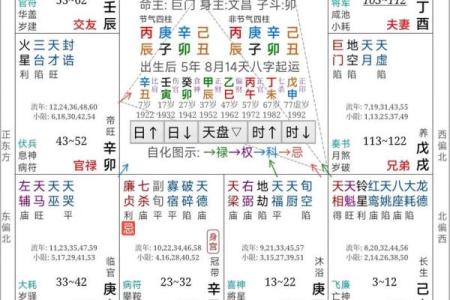 紫薇斗数意思