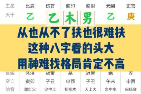 八字奇人
