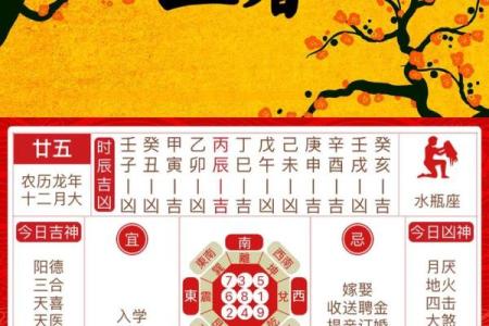 什么是立春的风水