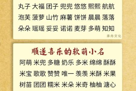 生辰八字起小名