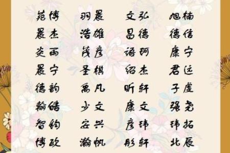 2019年5月18号寅时出生的男孩要怎么起名字姓名