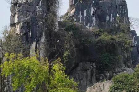 大富贵坟地风水顺口溜