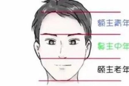 面相算命，让你分钟看透一个人